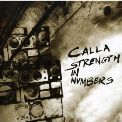 Afbeelding van Strength in Numbers