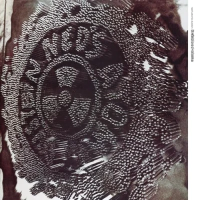Afbeelding van Ned&#039;s Atomic Dustbin Brainbloodvolume (LP)