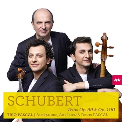 Afbeelding van Denis Pascal Aurelien Alexan Schubert Trios Op. 99 &amp; 100 (2 CD)