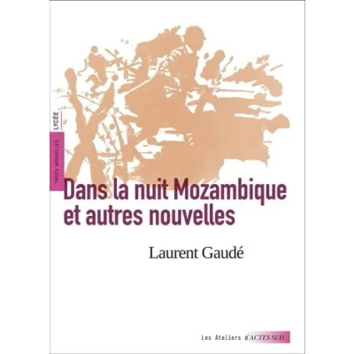 Afbeelding van DANS LA NUIT MOZAMBIQUE ET AUTRES NOUVELLES