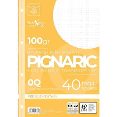 Afbeelding van Pigna 0222370Q, vervanging met versterkte band, strip 0Q, tegels 5 mm rand voor 2 en 3. element, papier 100 g/m², verpakking van 40 vellen