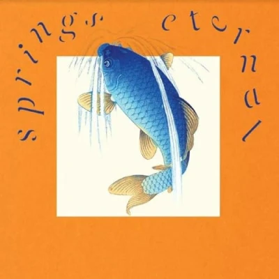 Afbeelding van William Doyle Springs (LP) (Coloured Vinyl)