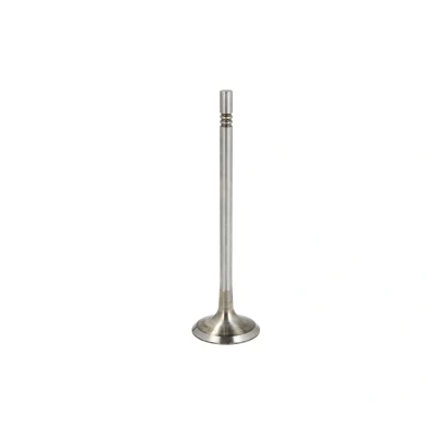 Afbeelding van IPSA VL232800 Inlaatklep 28,09