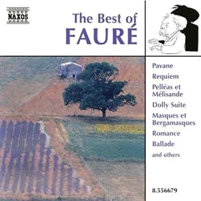 Afbeelding van Various Artists The Best Of Fauré (CD)