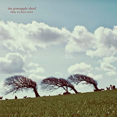 Afbeelding van Pineapple Thief What We Have..