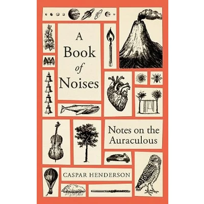 Afbeelding van A Book of Noises