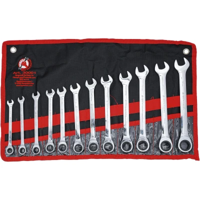 Afbeelding van BGS Ratelring steeksleutelset 8 19 mm 12 delig