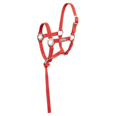 Image de Premiere Ensemble Poulain Halser Brisk Avec Mini Ligne Pompeian Red
