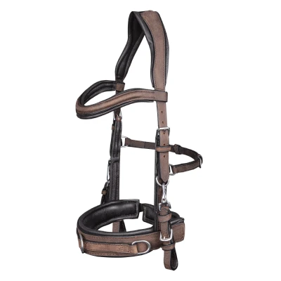 Image de Waldhausen Bridon Caveçon Anatomique Marron Full