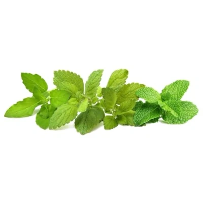 Afbeelding van Click &amp; Grow Calming Tea Mix /9 pack