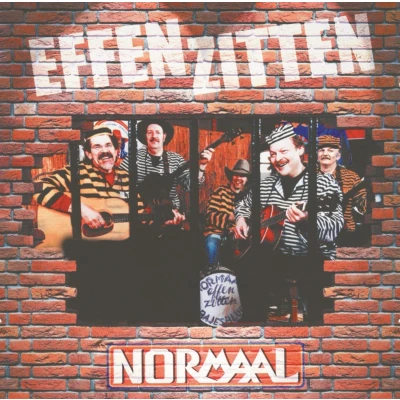 Afbeelding van Normaal Effen Zitten (LP)