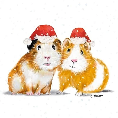 Afbeelding van Set van 20 papieren servetten hamstermotief met kerstmuts 33 x cm