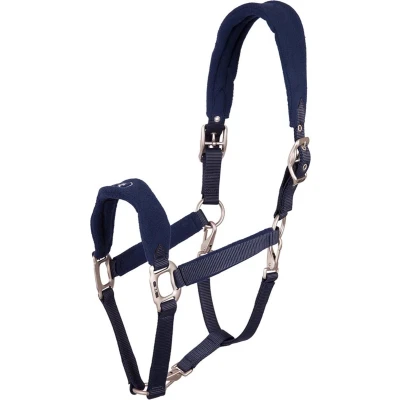 Afbeelding van BR Poetshalster blauw maat:full