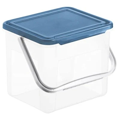 Afbeelding van Rotho Basic Opbergdoos, 5 liter, met deksel en handvat, kunststof (PP), BPA vrij, transparant/blauw, 3 kg/5 liter (21 x 20 18 cm)