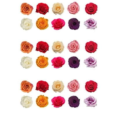 Afbeelding van Top That 30 stuks taartdecoraties van wafelpapier, rozen, gemengde kleuren