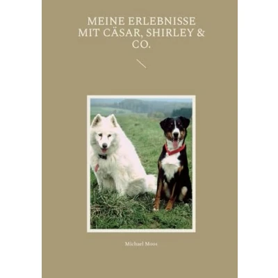 Afbeelding van Meine Erlebnisse mit Cäsar, Shirley &amp; Co.