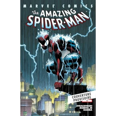 Afbeelding van SPIDER MAN PAR STRACZYNSKI,02