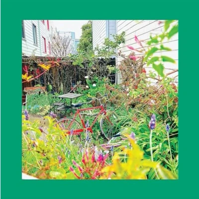 Afbeelding van Pinks And Purples Reds Unwishing Well (CD)