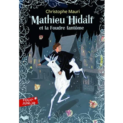 Afbeelding van Mathieu Hidalf 2/Mathieu et la foudre fantome