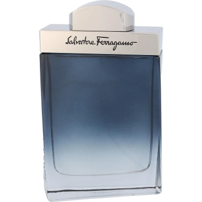 Afbeelding van Salvatore Ferragamo Subtil Homme Eau de Toilette 100 ml