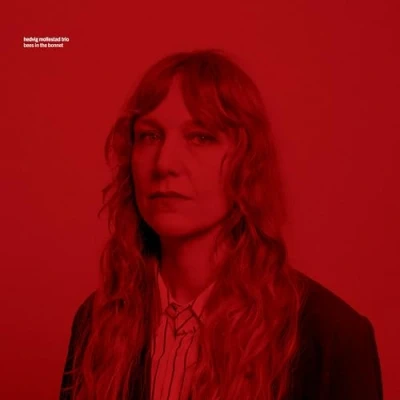 Afbeelding van Hedvig Mollestad Bees In The Bonnet (CD)