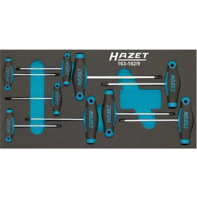 Afbeelding van HAZET 163 182/9 Schroevendraaierset 9 Gereedschapsmodule (PU schuiminlay) Safety Insert System