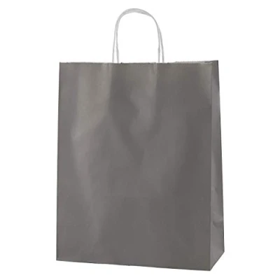 Afbeelding van Thepaperbagstore 50 herbruikbare boodschappentassen van grijs papier met sterke gedraaide handgrepen maat M 250 x 110 310 mm