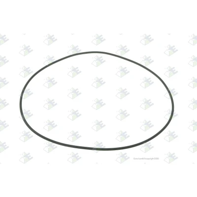 Afbeelding van Versnellingsbak o ring EURORICAMBI 95536192