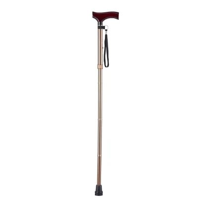Image de Vitility VIT 70510020 Bâton de Marche Pliant Derby Bronze