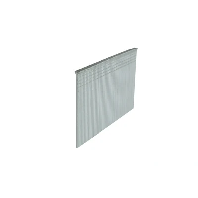 Afbeelding van Rechte Brads Verzinkt 1.6 x 50 mm Doos 2500 stuks