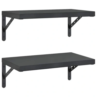 Afbeelding van vidaXL Wandschappen 2 st 50x30 cm roestvrijstaal zwart