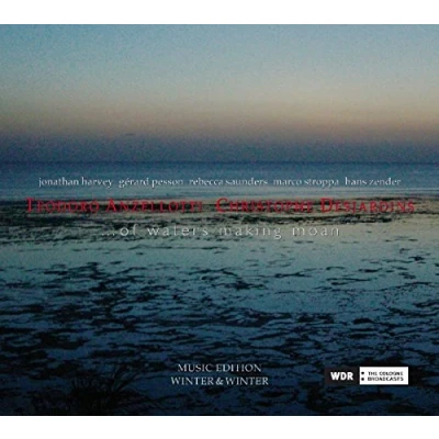 Afbeelding van Teodoro Anzellotti Of Waters Making Moan (CD)