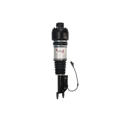 Afbeelding van Magnum Technology APM002MT Pneumatischeveerpoot Links voor MERCEDES BENZ: CLS Coupe, E Class Saloon