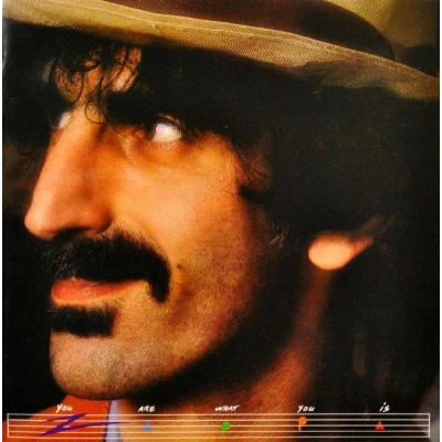 Afbeelding van Frank Zappa You Are What Is (CD)