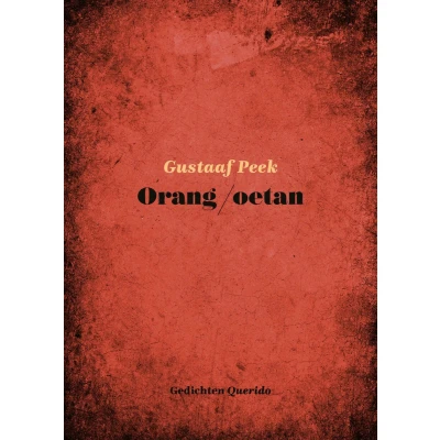 Afbeelding van Orang oetan