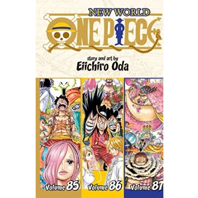 Afbeelding van One Piece (Omnibus Edition), Vol. 29