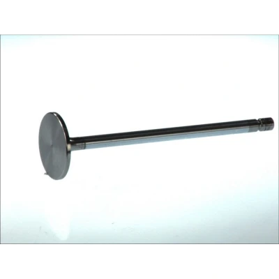 Afbeelding van DT Spare Parts 5.41530 Inlaatklep 45,5