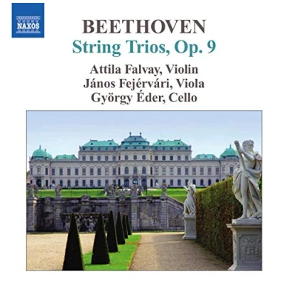 Afbeelding van Attila Falvay, György Éder, János Fejérvari Beethoven: String Trios Op.9, Nos.1 3 (CD)