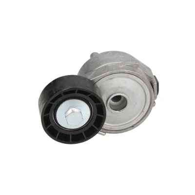 Afbeelding van Riemspanner, Poly V riem DAYCO APV2556
