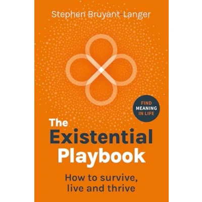 Afbeelding van The Existential Playbook