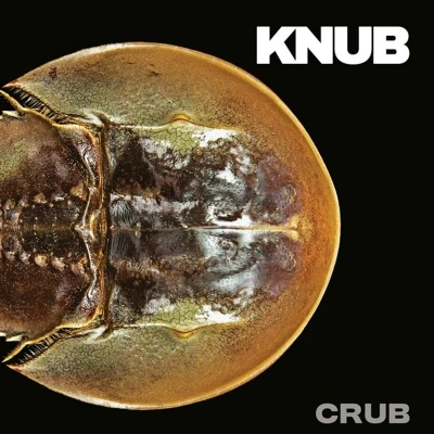 Afbeelding van Knub Crub (12&quot; Vinyl Single) (Coloured Vinyl)