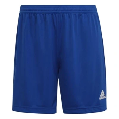 Afbeelding van adidas Performance Entrada 22 Korte broeken, Dames, Maat: Medium, Blauweissblau
