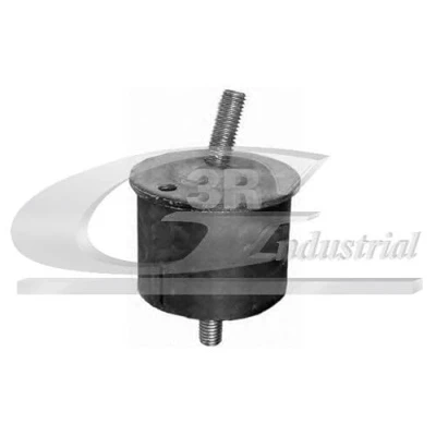 Afbeelding van 3RG 40614 Aslichaam / motorsteunlager Voor, rechts 48 60 RENAULT: ESPACE 4
