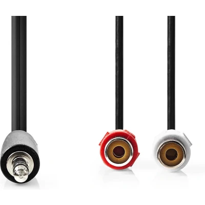 Afbeelding van Nedis Stereo Audiokabel 3,5 mm Male 2x RCA Female Vernikkeld 0.20 m Rond Doos