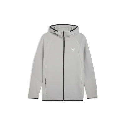 Afbeelding van Puma Evostripe Hoodie Sweater met rits, Heren, Maat: XS, Gray echo