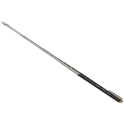 Image de Accessoire de projection Stylo pointeur