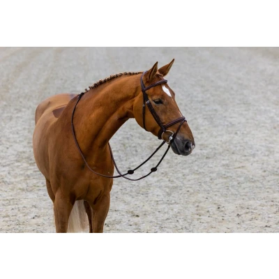 Afbeelding van Trust Calgary Combined Noseband Bridle Black/Silver Maat Full
