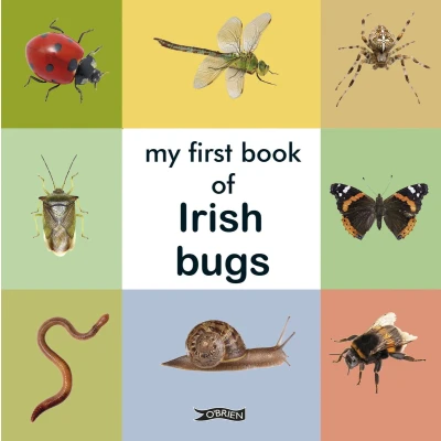 Afbeelding van First Steps My Book of Irish Bugs