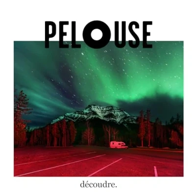 Afbeelding van Pelouse Découdre (CD)