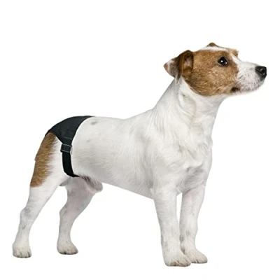 Afbeelding van Pawise Dog Pant (Loopsheidbroekje) 5